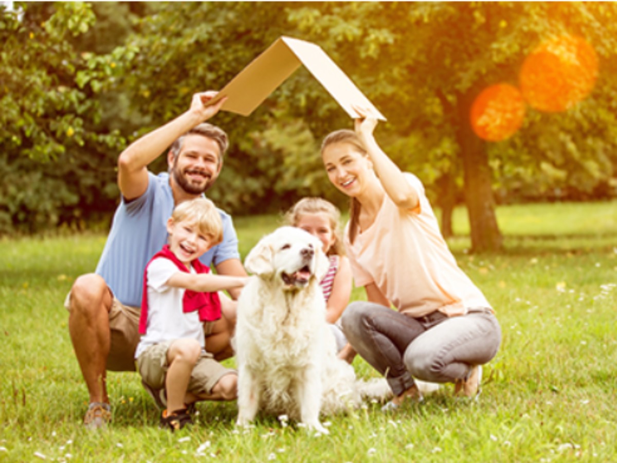 The Ultimate Guide Insurance and Protecting Your Future